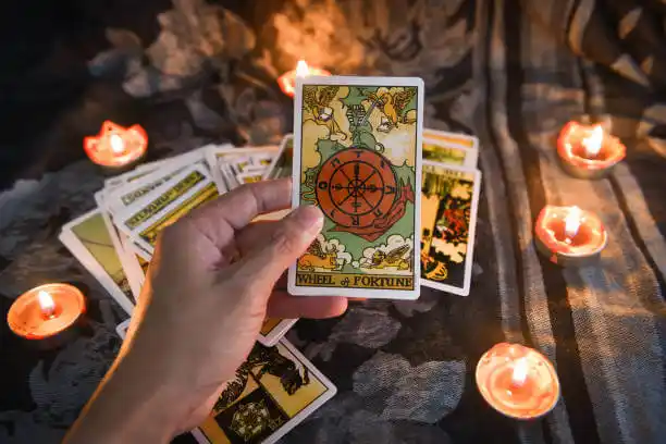 tarot cards Shreve